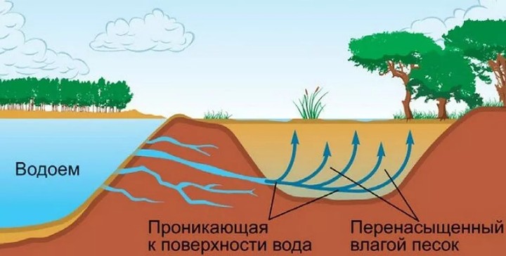 Чем так опасны зыбучие пески для человека