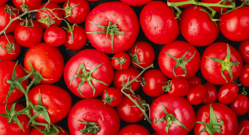 Цены на помидоры в Узбекистане бьют все рекорды 