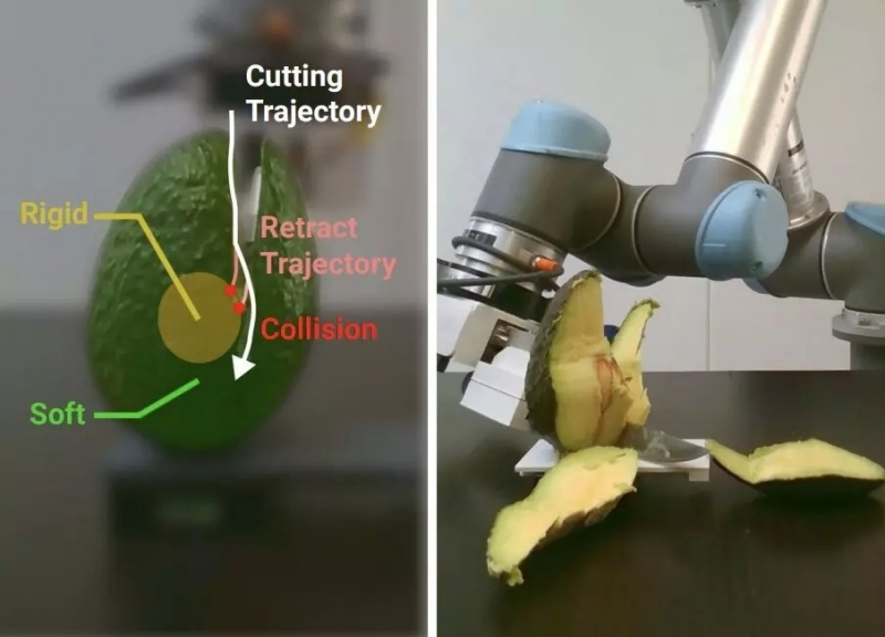 Роботов научили чистить авокадо