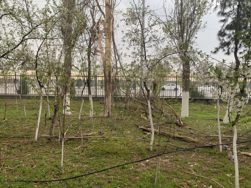В одну из школ Ташкента во время вчерашнего проливного дождя попала молния. Фото и видео 