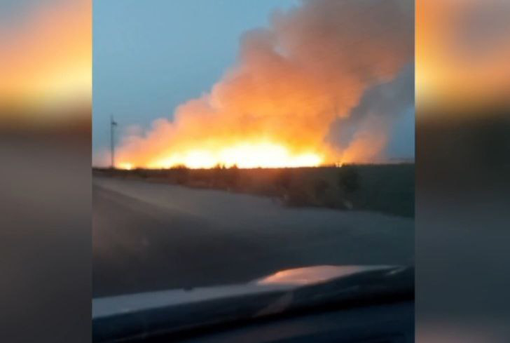 Фермер, поджегший сухую траву на своем поле, уничтожил и повредил свыше 30 деревьев, а также нанес ущерб плодородию почвы. Видео 