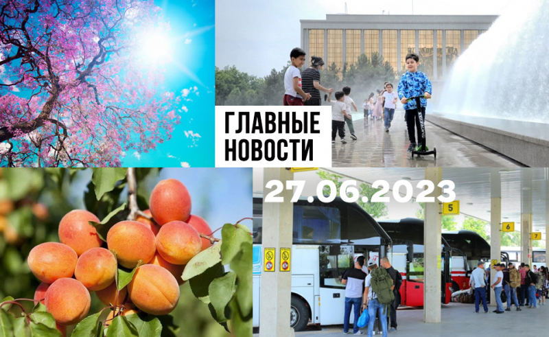 Ненастоящая чилля, Минздрав против фейков и берегись автомобиля. Новости Узбекистана: главное на 27 мая