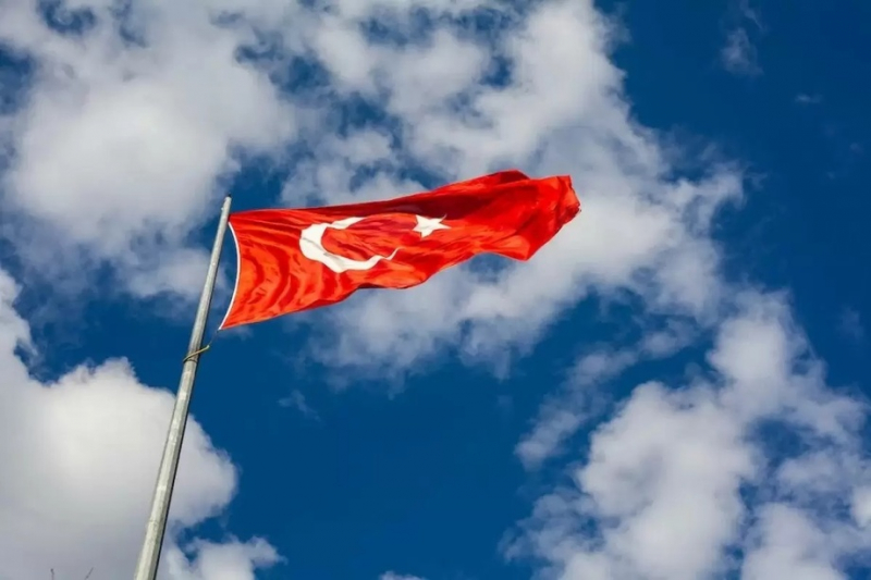В Турции озвучили официальные данные по выборам президента