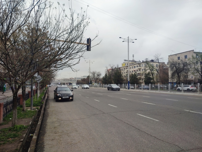 Акция «День без автомобиля» в Ташкенте будет проводиться каждую четвертую среду