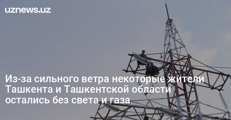 Из-за сильного ветра некоторые жители Ташкента и Ташкентской области остались без света и газа