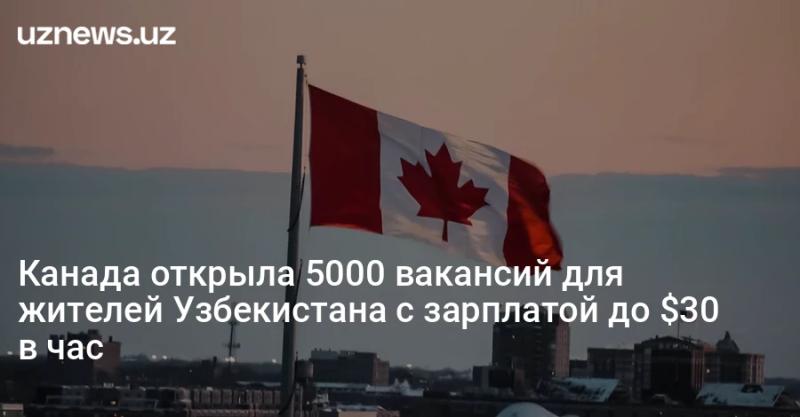 Канада открыла 5000 вакансий для жителей Узбекистана с зарплатой до $30 в час