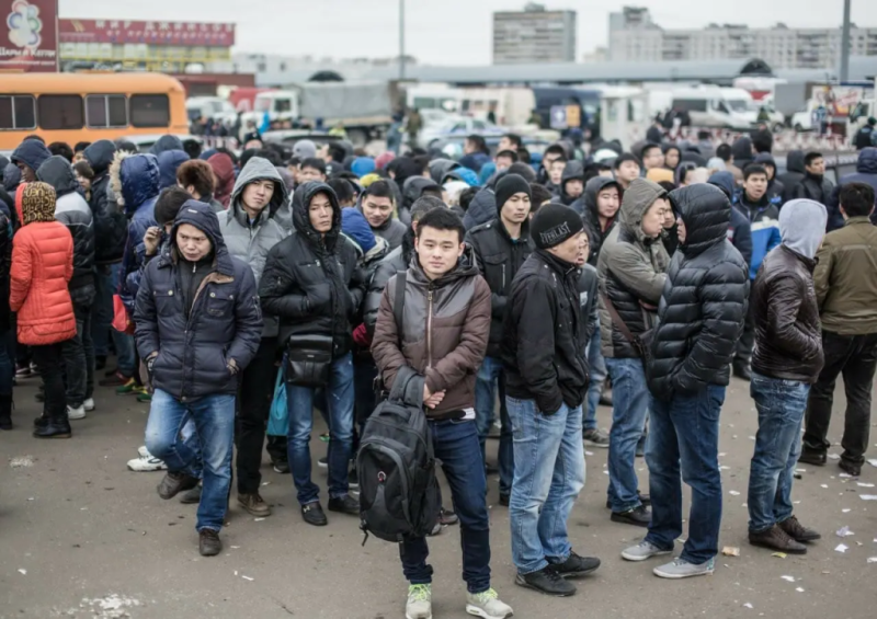 Принятие закона о выдворении из России мигрантов, работающих не по профилю, нарушает их права. Мнение экспертов