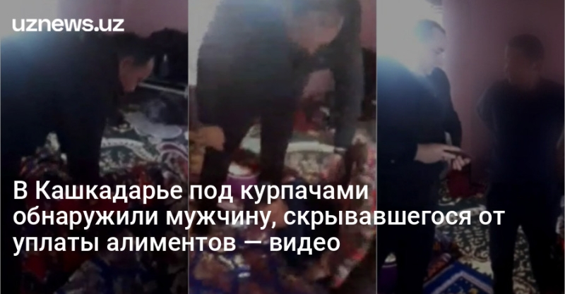 В Кашкадарье под курпачами обнаружили мужчину, скрывавшегося от уплаты алиментов — видео