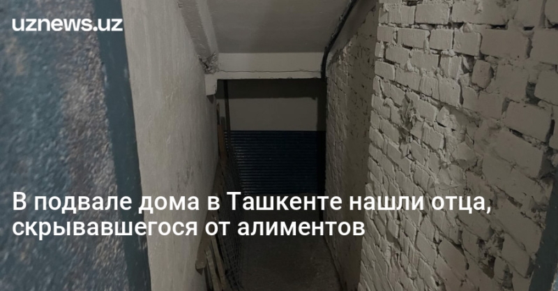 В подвале дома в Ташкенте нашли отца, скрывавшегося от алиментов