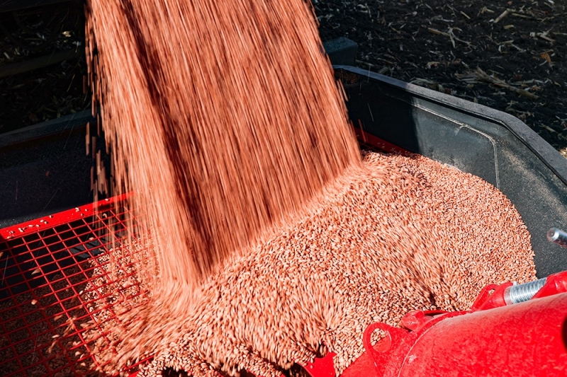 Власти стран ЕС требуют запретить импорт российского зерна
