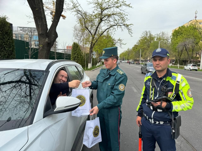СБДД выяснила, кто не нарушает правила дорожного движения в Ташкенте