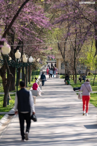 Весенний вайб в Ташкенте. Фоторепортаж