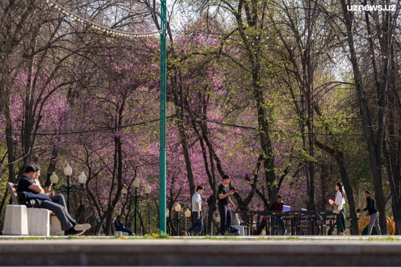 Весенний вайб в Ташкенте. Фоторепортаж
