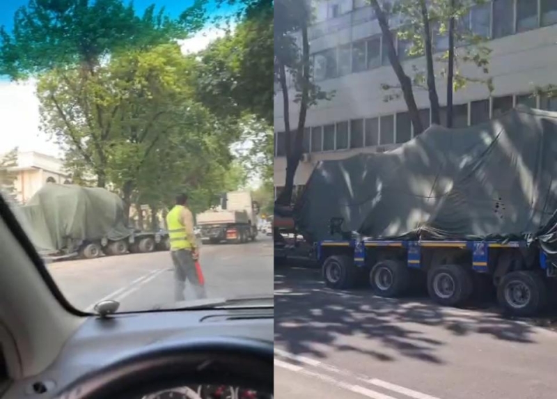 Из центра Ташкента вывезли огромное многолетнее дерево. Видео