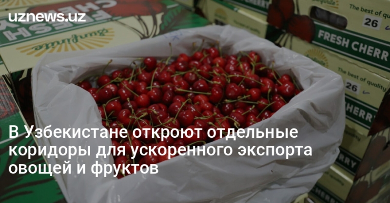 В Узбекистане откроют отдельные коридоры для ускоренного экспорта овощей и фруктов