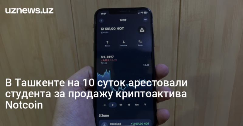 В Ташкенте на 10 суток арестовали студента за продажу криптоактива Notcoin