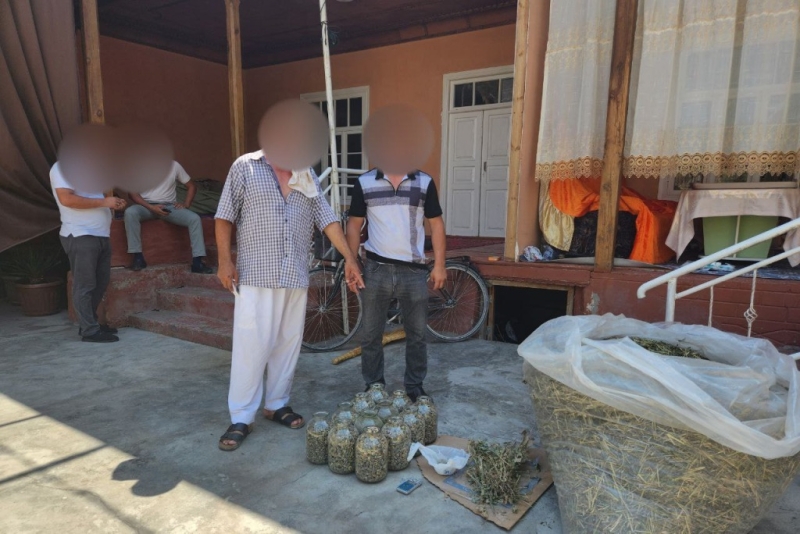 Дома у жителя Маргилана нашли почти 40 килограммов наркотиков и кусты марихуаны в огороде