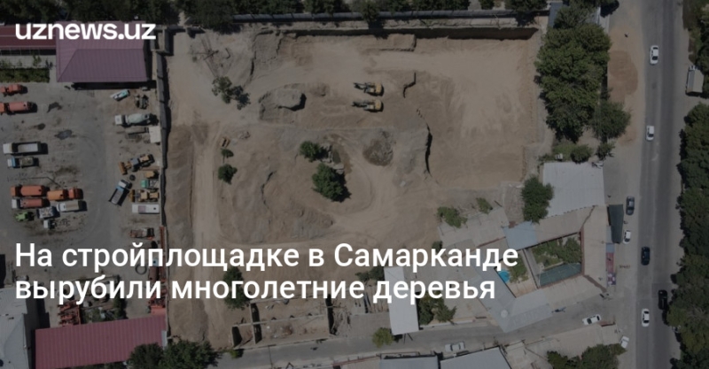 На стройплощадке в Самарканде вырубили многолетние деревья