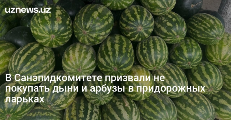 В Санэпидкомитете призвали не покупать дыни и арбузы в придорожных ларьках