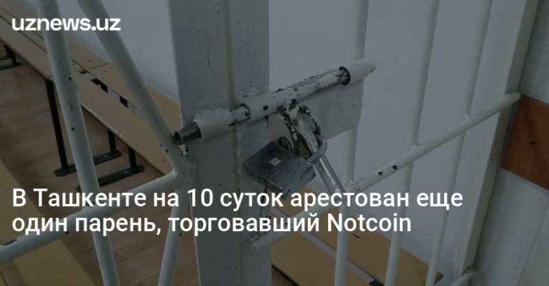 В Ташкенте на 10 суток арестован еще один парень, торговавший Notcoin