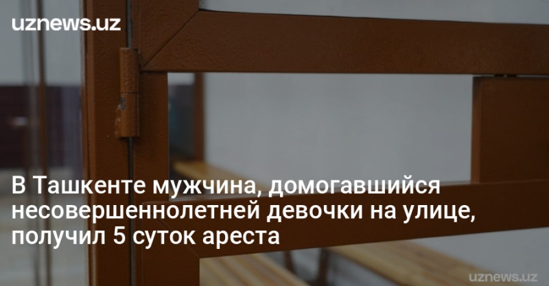 В Ташкенте мужчина, домогавшийся несовершеннолетней девочки на улице, получил 5 суток ареста