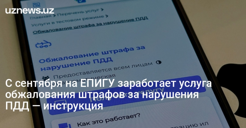 С сентября на ЕПИГУ заработает услуга обжалования штрафов за нарушения ПДД — инструкция