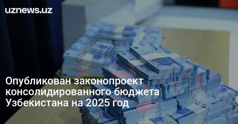 Опубликован законопроект консолидированного бюджета Узбекистана на 2025 год