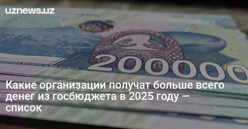 Какие организации получат больше всего денег из госбюджета в 2025 году — список