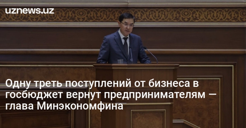 Одну треть поступлений от бизнеса в госбюджет вернут предпринимателям — глава Минэкономфина