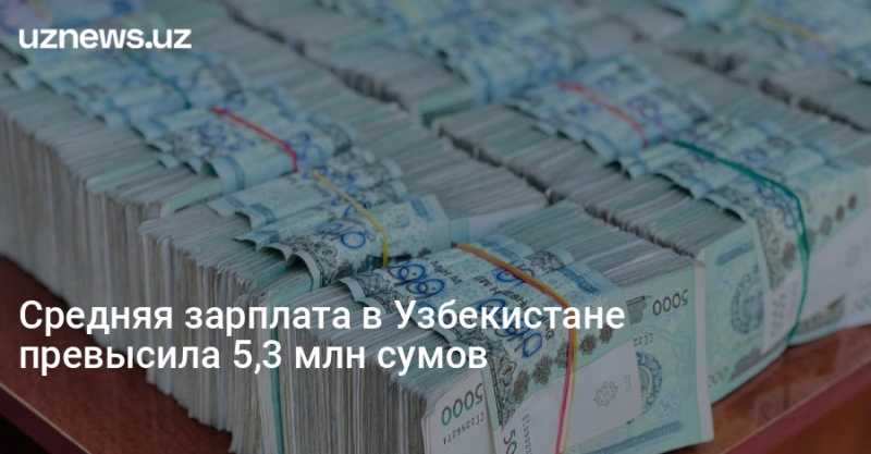 Средняя зарплата в Узбекистане превысила 5,3 млн сумов