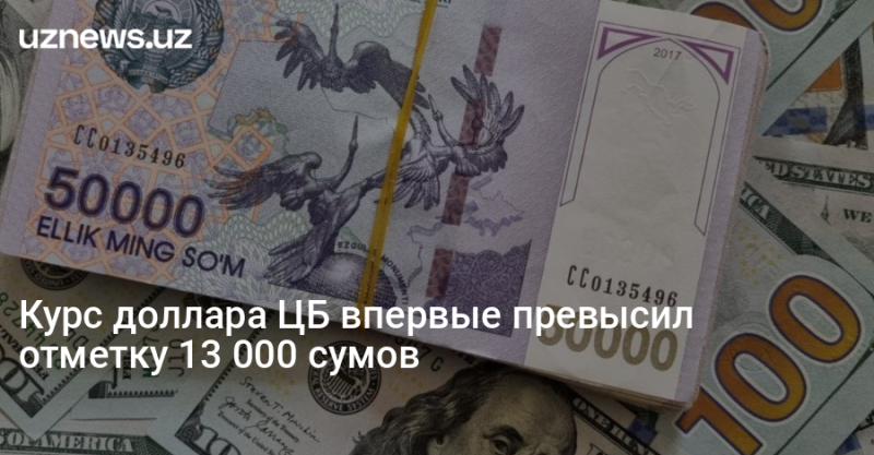 Курс доллара ЦБ впервые превысил отметку 13 000 сумов