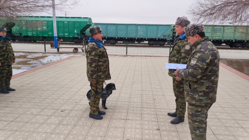 В Узбекистане наградили 14 лучших служебных собак, работающих на таможне. Фото