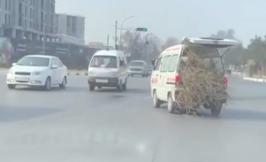 Машина скорой помощи в Коканде перевозила саженцы деревьев. Видео