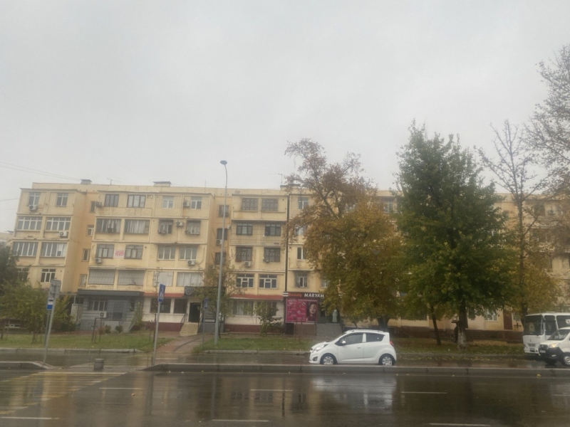 Синоптики рассказали, каким будет последний месяц осени в Узбекистане