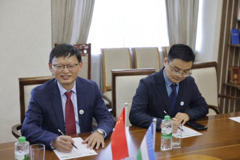 Узбекистан и Китай заговорили о развитии чайной индустрии