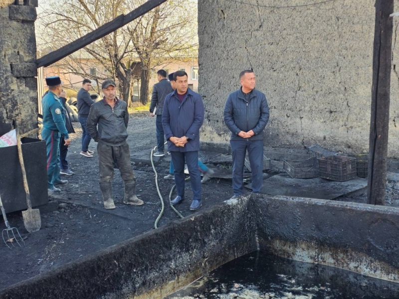 Власти прикрыли незаконную свиноферму в Самаркандской области: владелец по ночам сжигал автопокрышки