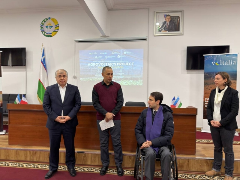 Овощи под солнечными панелями. Узбекистан и Франция запускают агровольтаику