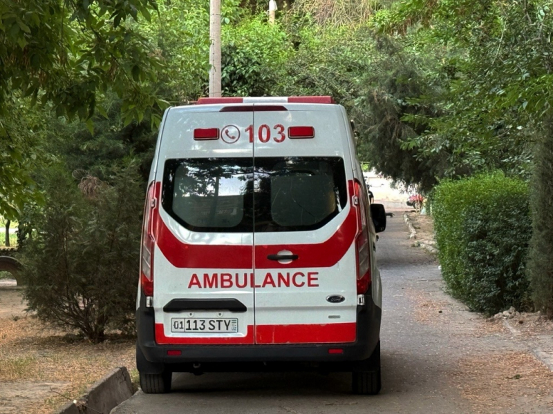 Три поколения одной семьи погибли от угарного газа в Ташкентской области