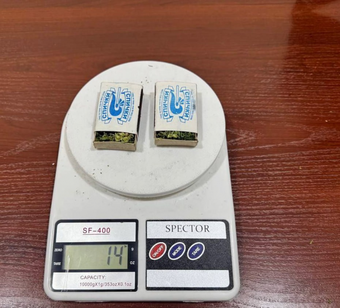 В Джизаке сотрудник предприятия электросетей задержан за торговлю марихуаной