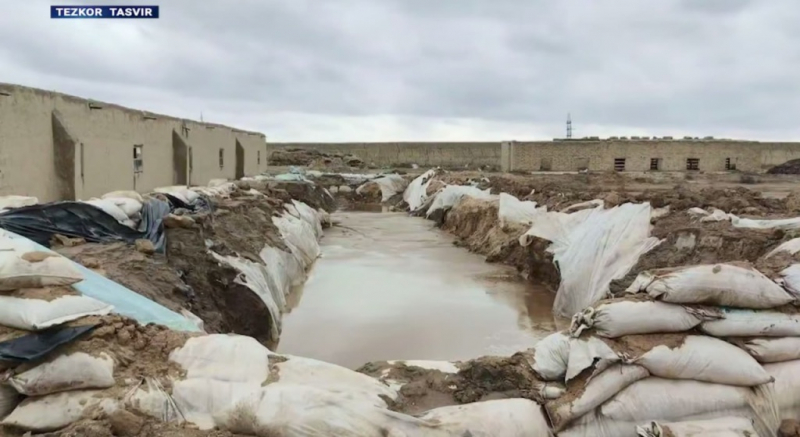 Золотая мафия. Подпольные старатели в Навоийской области нанесли ущерб на 13 миллиардов сумов. Видео 