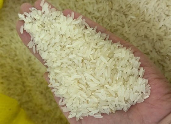 Хорезмский рис получил статус географического указания
