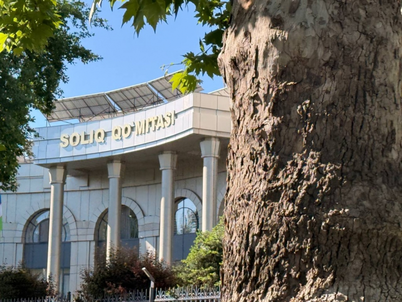 Бизнесу напомнили о важных налоговых сроках на сентябрь