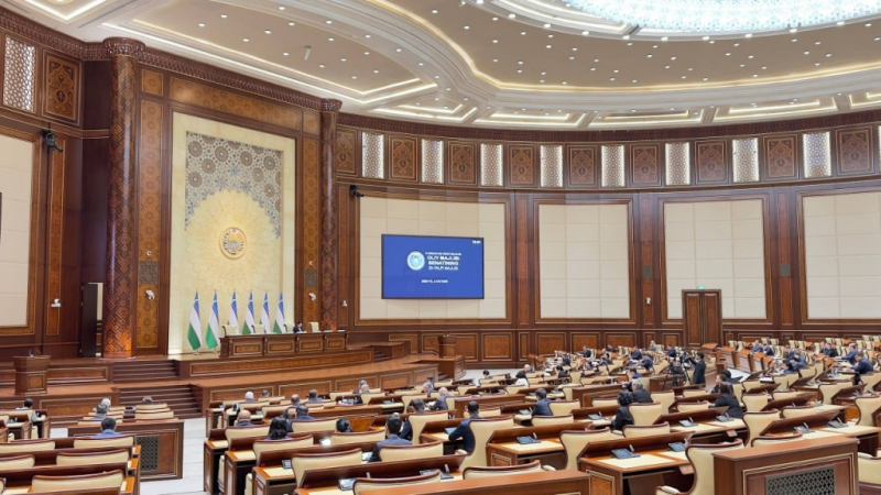 Закон о пожизненном наказании за сексуальные преступления против детей направили в Сенат. Видео